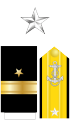 Rear Admiral (lh)2 (Navy).png