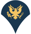 Specialist (Army).png