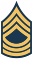 Master Sergeant (Army).png