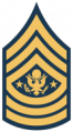Sergeant Major of the Army.png
