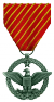 Air Force Combat Action Medal