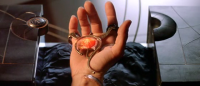 Das Handmodul von Ra