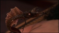 Der Goa'uld Amaunet