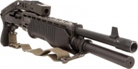 SPAS12.jpg