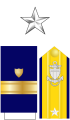 Rear Admiral (lh) -RAML- (Coast Guard).png
