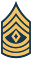 First Sergeant (Army).png