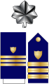 Commander -CDR- (Coast Guard).png