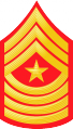Sergeant Major (Marines).png