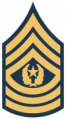 Command Sergeant Major (Army).png