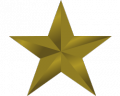 Ribbonstar-bronze.png